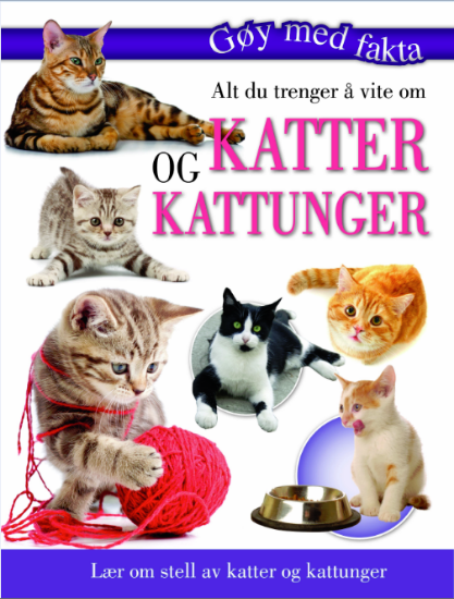 Alt Du Trenger Å Vite Om Katter & Kattunger