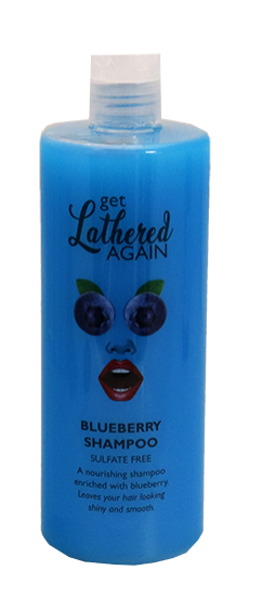 Blueberry Shampoo 500ml