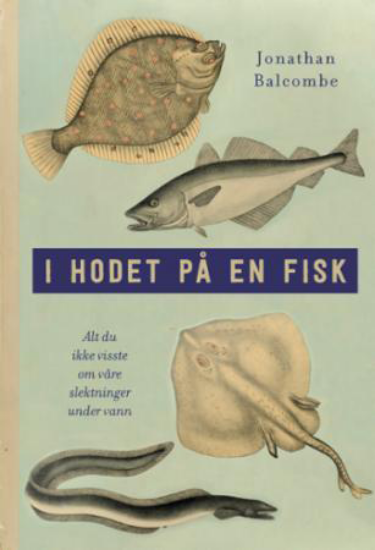 I Hodet På En Fisk