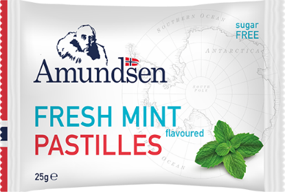 Amundsen Fresh Mint 25g