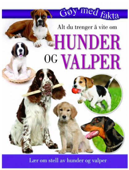 Alt Du Trenger Å Vite Om Hunder og Valper