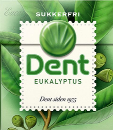 Dent Eukalyptus 24g