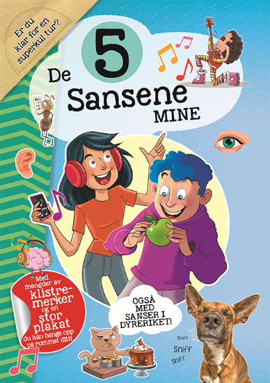 De 5 Sansene Mine