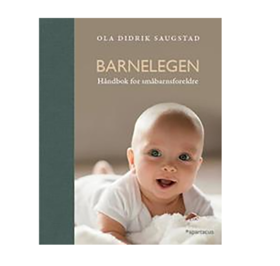 Barnelegen