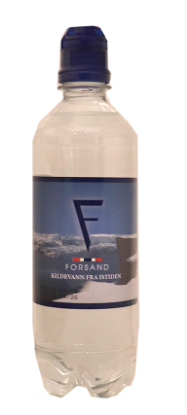 Forsand Kildevann 0,5l