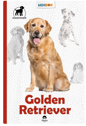 Golden Retriver